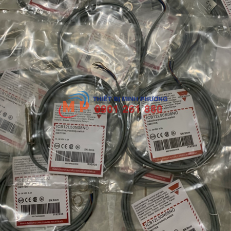CẢM BIẾN ICB12L50N08NO